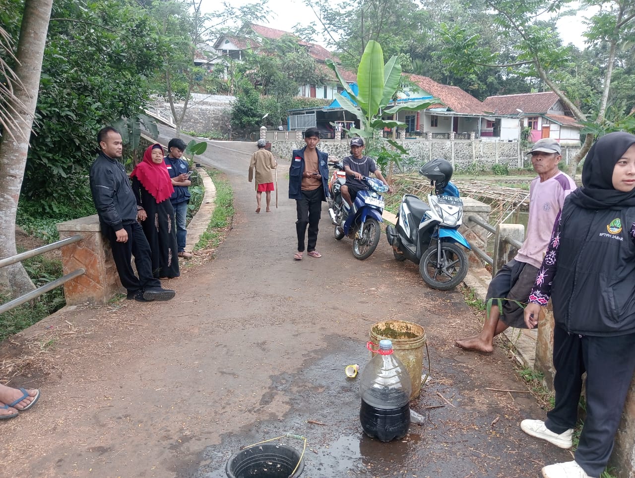 PEMBERANTASAN HAMA WERENG