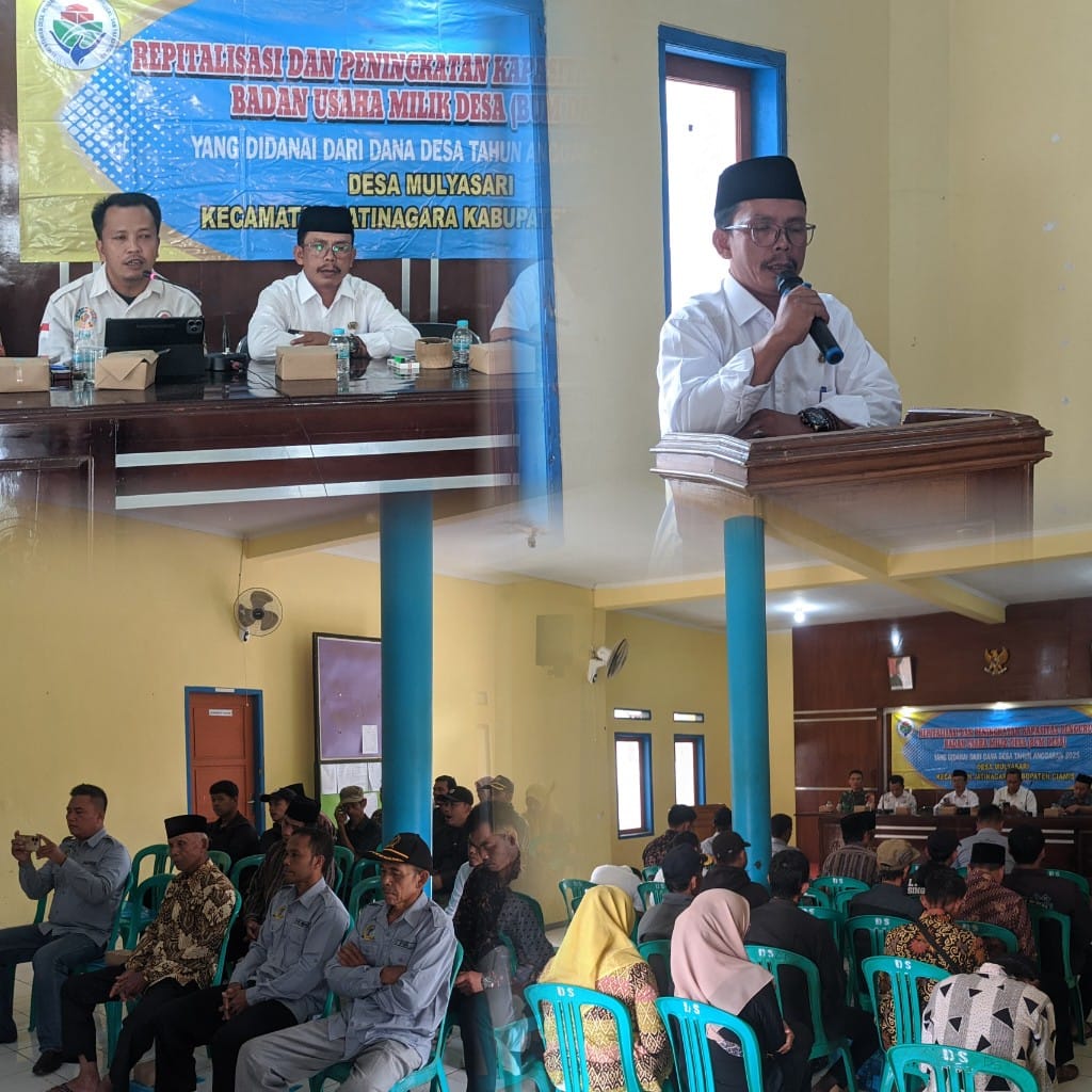 REVITALISASI PENGURUS BUMDES DESA MULYASARI
